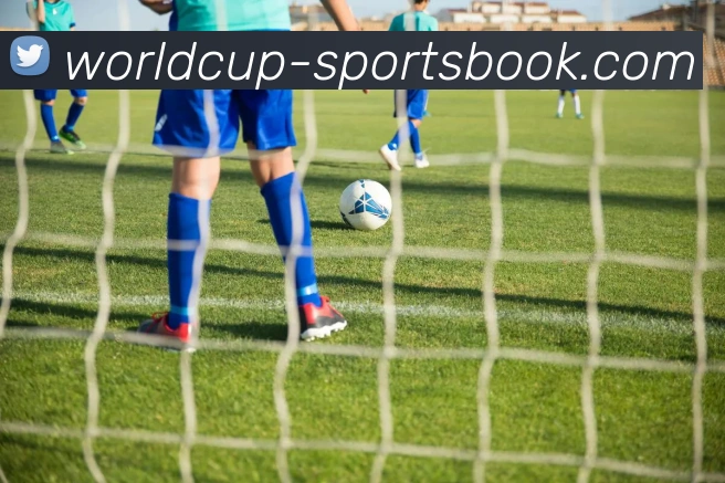 世界杯博彩平台生态图